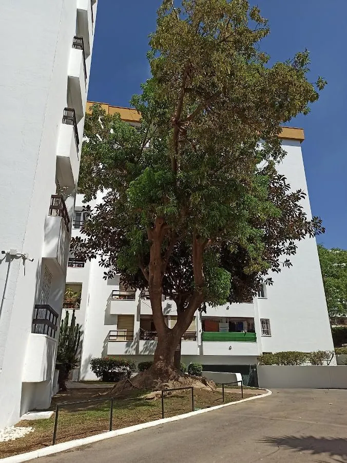 Reformado Luminoso Acogedor Apartment Marbella Spain